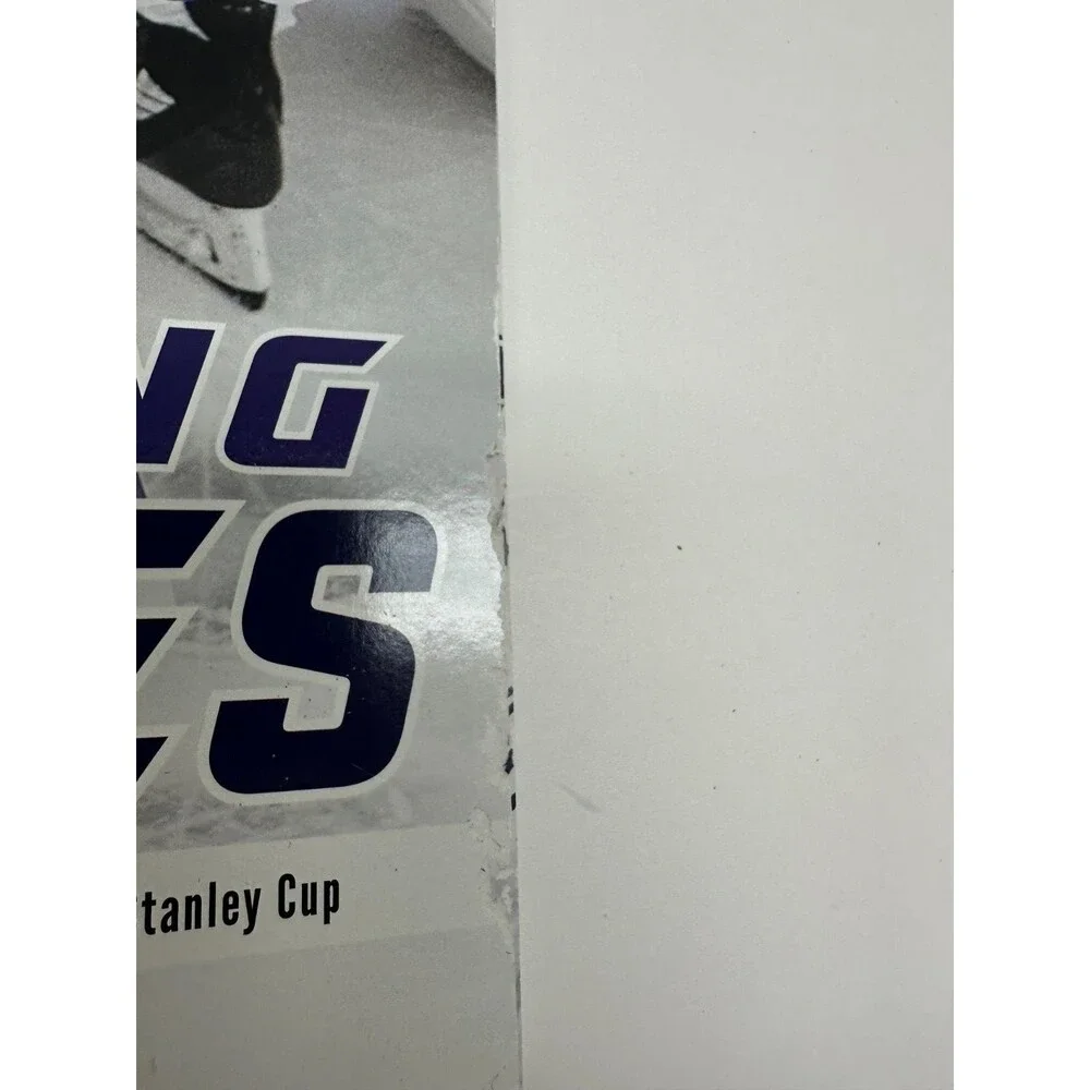 Lightning Strikes Tampa Bay Lightning 2020 Stanley Cup Erik Erlendsson NHL Book